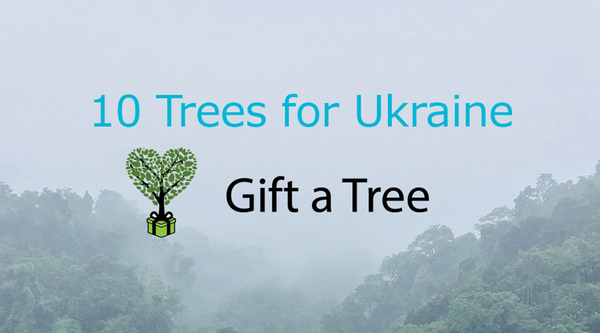 SA LAW Plant 10 native trees in Ukraine on behalf of Kestronics
