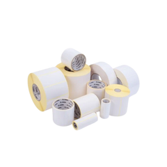 880026-127 Zebra Z-Perform 1000T 102mm x 127mm Paper Label